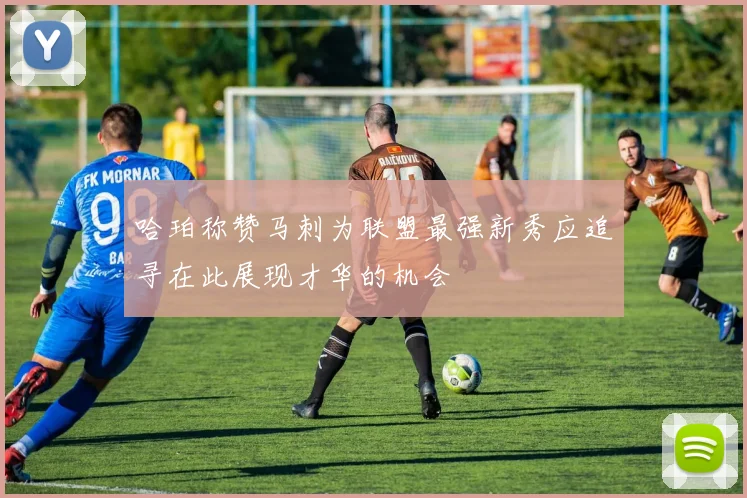 哈珀称赞马刺为联盟最强新秀应追寻在此展现才华的机会